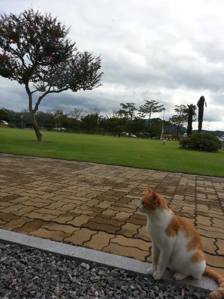 20130930_163950.jpg