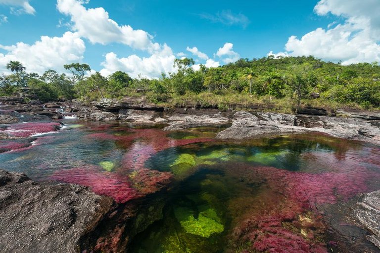 Cano-Cristales.jpg