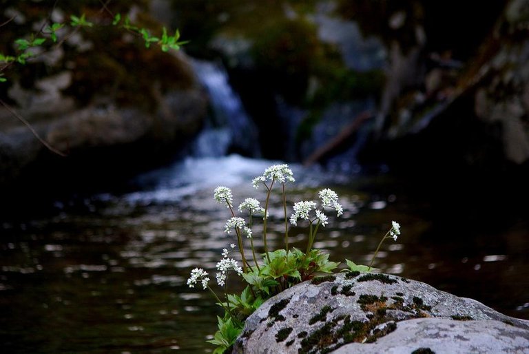 the-body-of-water-3275515_1280.jpg