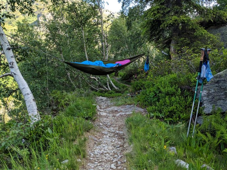 hammocking-across-trail.jpg