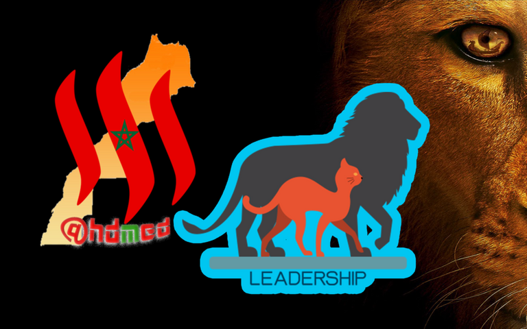 steemit teammorocco hdmed leadership.png