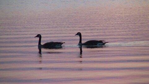 1461424652715 (1).jpg