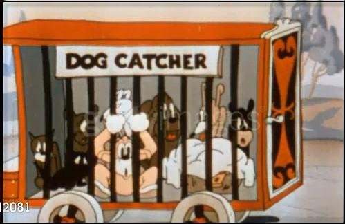 Dog catcher.jpg