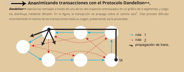 epic-cash-criptomoneda-privacidad-anabell-hilarski.jpg