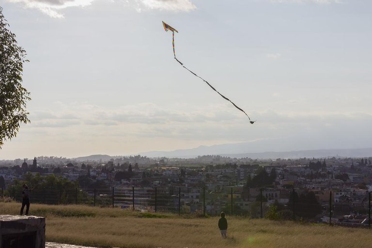 kite3.jpg