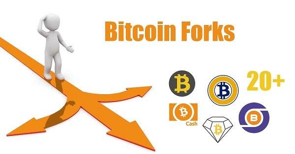 bitcoin-forks.jpg