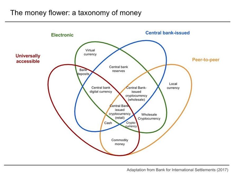 money_flower.jpg