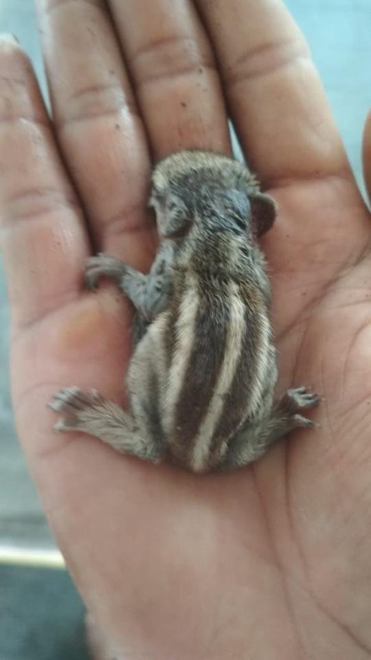 WhatsApp Image 2019-06-11 at 8.28.08 AM.jpeg