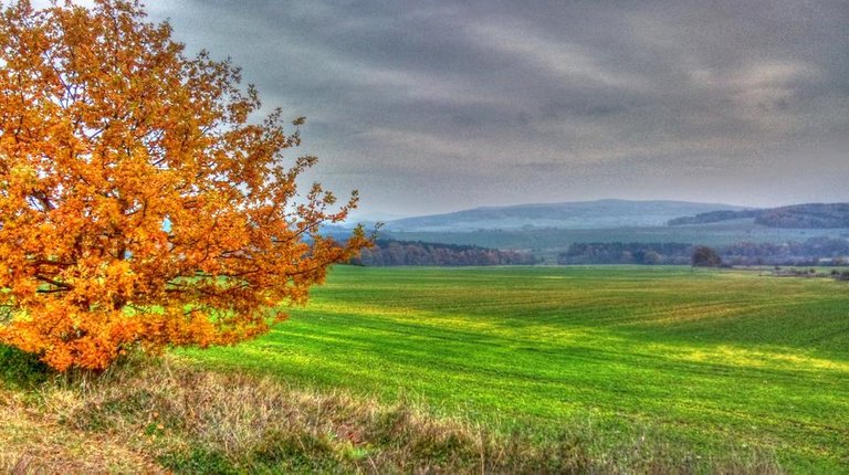 Podzim u Únětic HDR.jpg