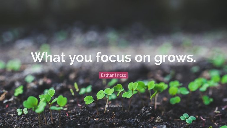 4674103-Esther-Hicks-Quote-What-you-focus-on-grows.jpg