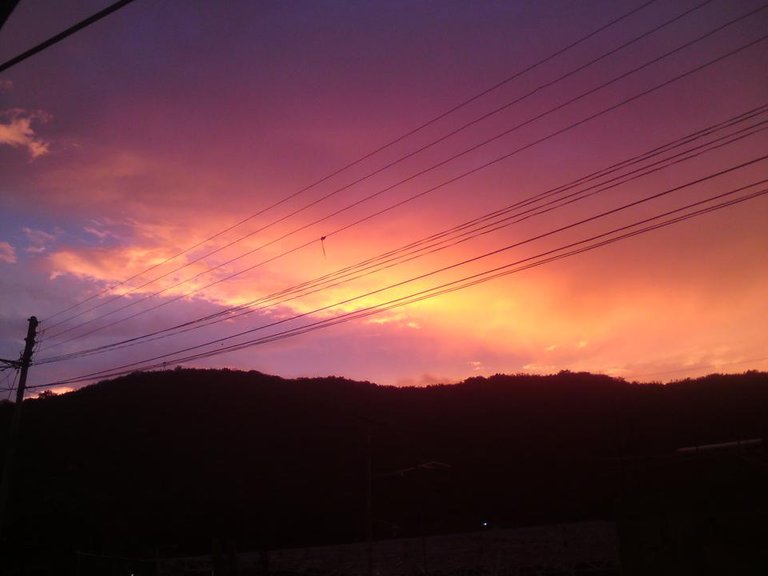 DSC00800.JPG
