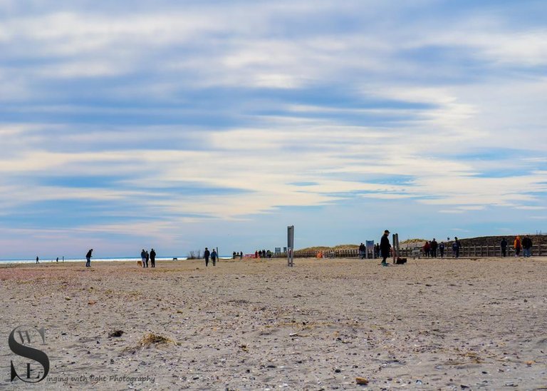 1 Wednesday Walk on the Silver Sands Beach-2.jpg