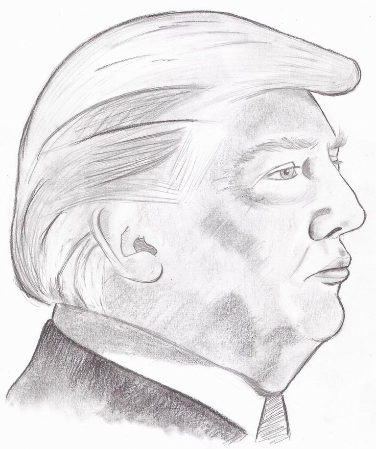 Presidente Trump - detalle.jpg