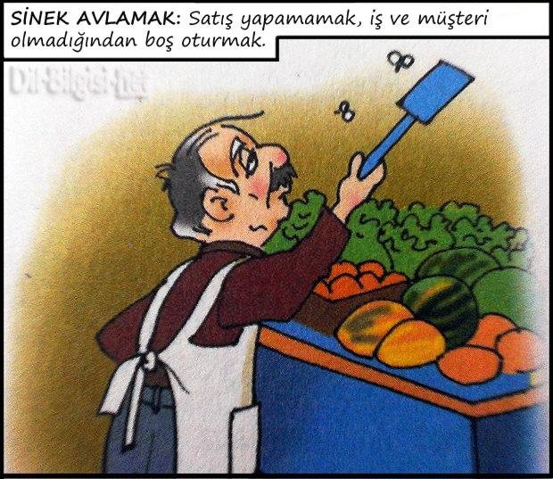 Sinek-avlamak-deyiminin-karikaturu.jpg