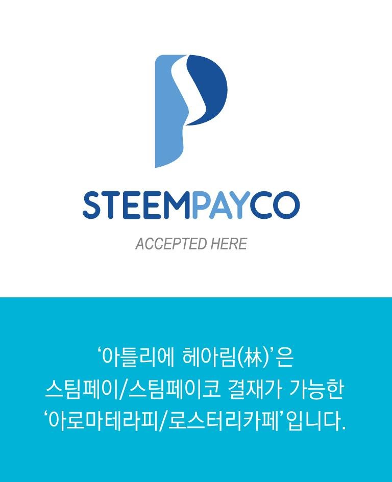 steem_013.jpg