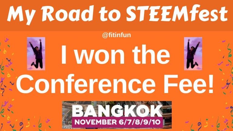Road to STEEMfest I won the Conference Fee! fitinfun.jpg