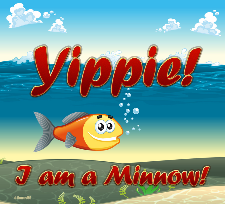 MinnowIII.jpg.png
