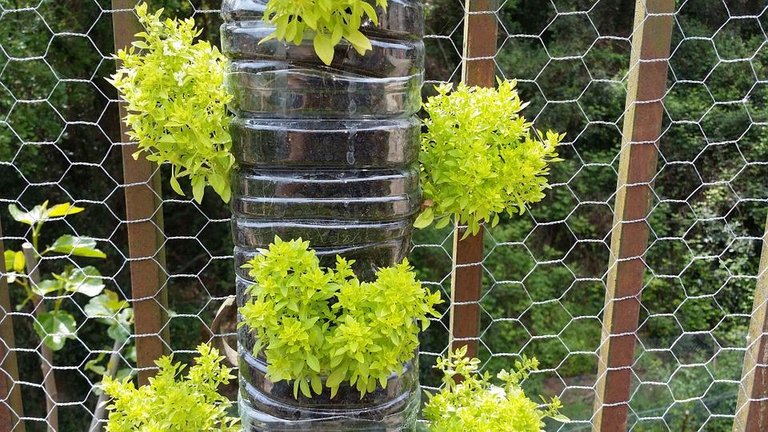 vertical farm.jpg