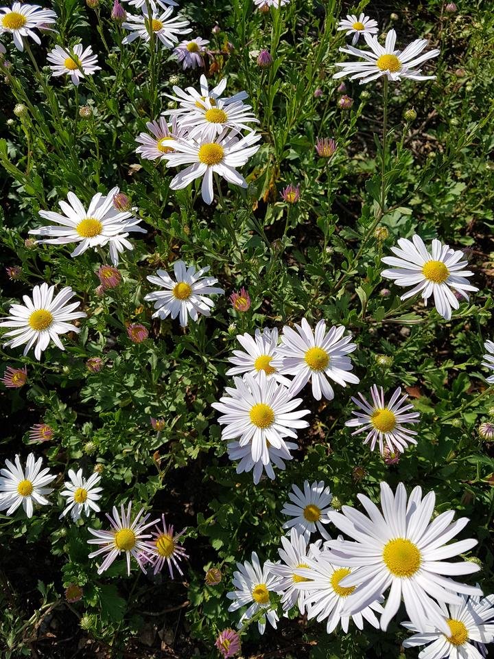 20180930_143620.jpg
