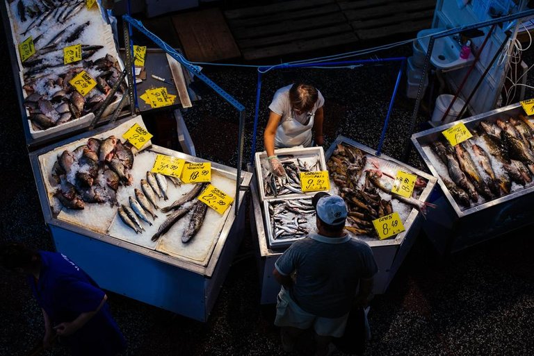 Measuring the Harvest fish stalls