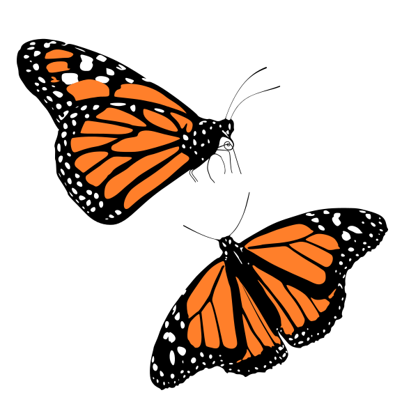 kisspng-monarch-butterfly-clip-art-butterfly-history-5b5584fbb986c0.6587164715323312597599.png