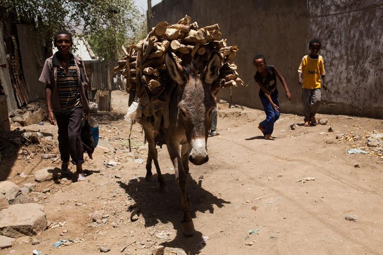 Moments_in_Ethiopia_by_Victor_Bezrukov-12.JPG