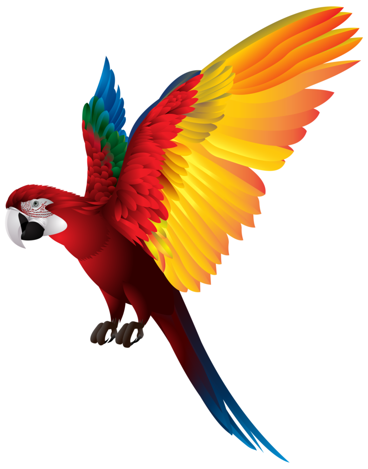 Parrot_PNG_Transparent_Clip_Art_Image.png