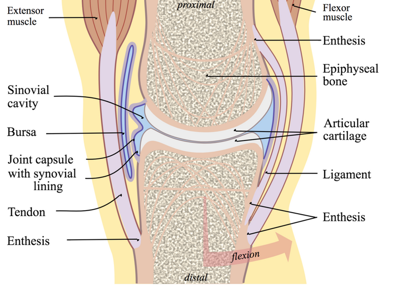 Capture d’écran 2018-07-24 à 22.31.55.png