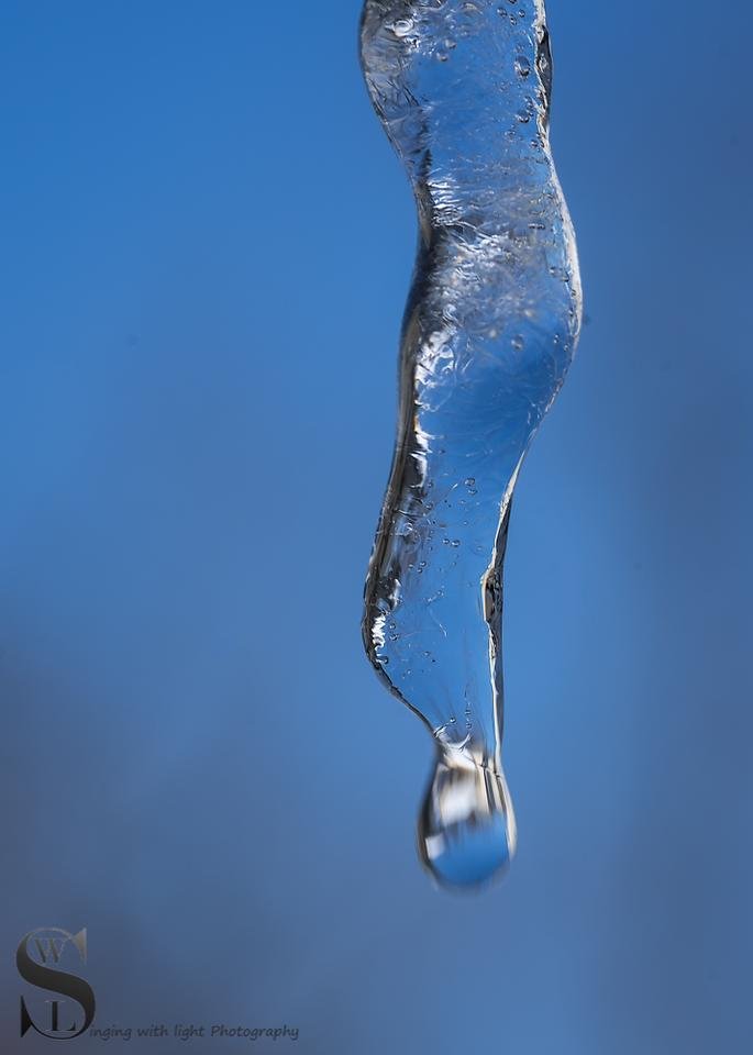 1 Icicles and testing out the new lens-5.jpg