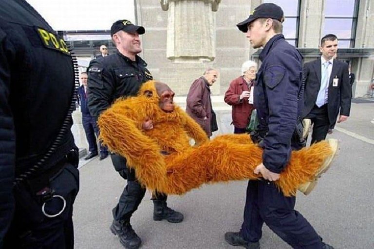 10-hilarious-pictures-of-people-getting-arrested-1.jpg