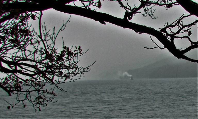 boat cropped.jpg