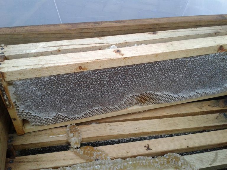 20191102_150335.jpg