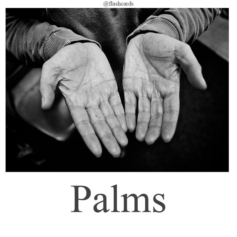 Palms.jpg