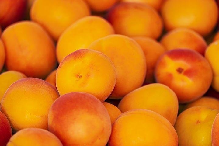 apricots-3433818__480.jpg
