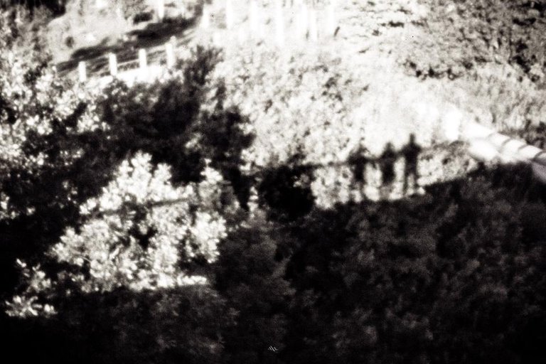 2018_10_06_313922.jpg