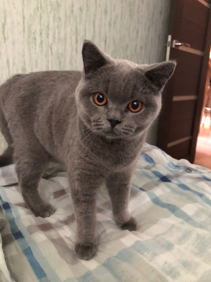 20190508_131021056_iOS.png