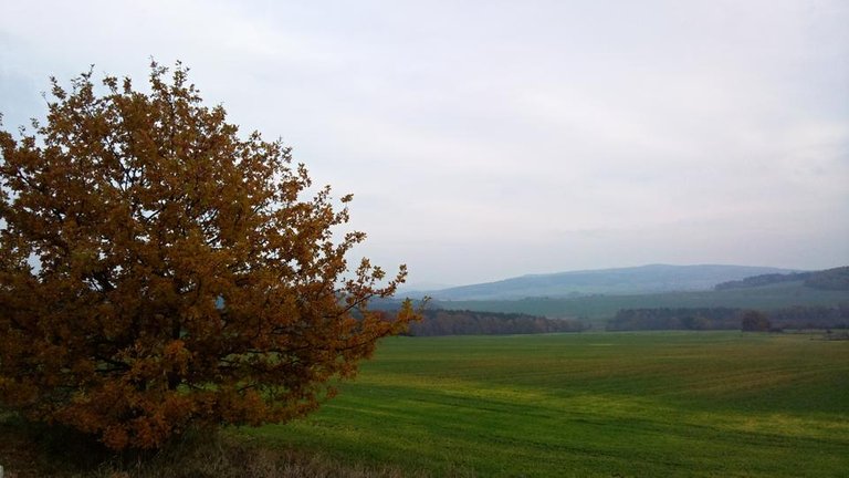 Podzim nad Úněticemi.jpg