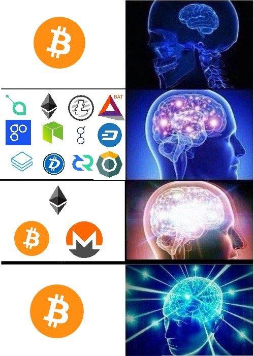 bitcoin maximalism.jpg