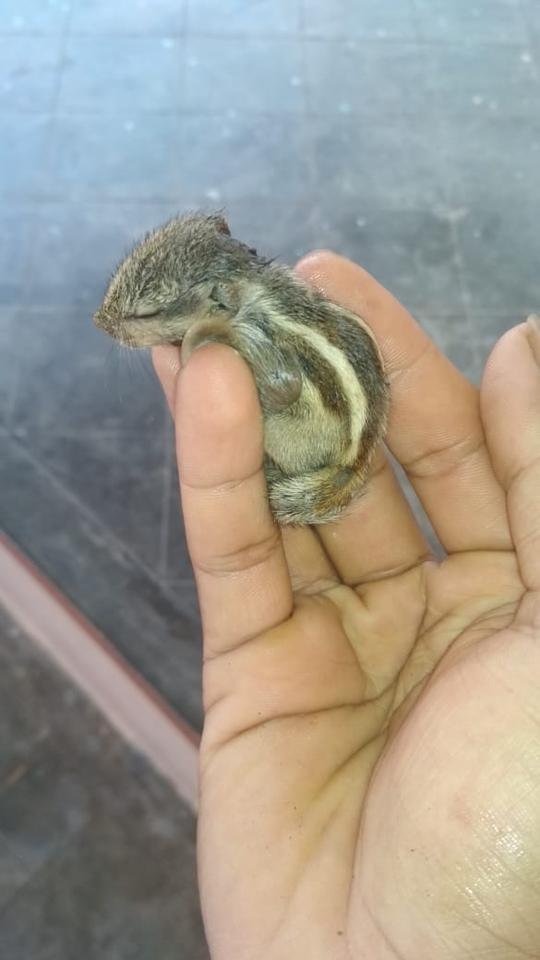 WhatsApp Image 2019-06-11 at 8.28.03 AM.jpeg