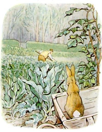 peter-rabbit-2.jpg