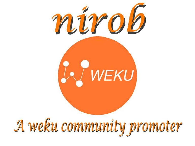 weku-team-member.jpg