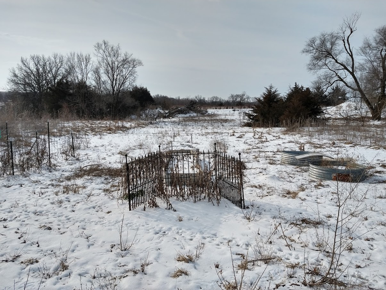 My Garden Feb 19, 2019