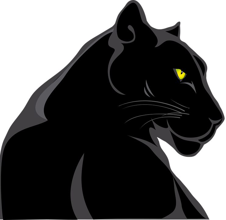 panther-3316354_960_720.png