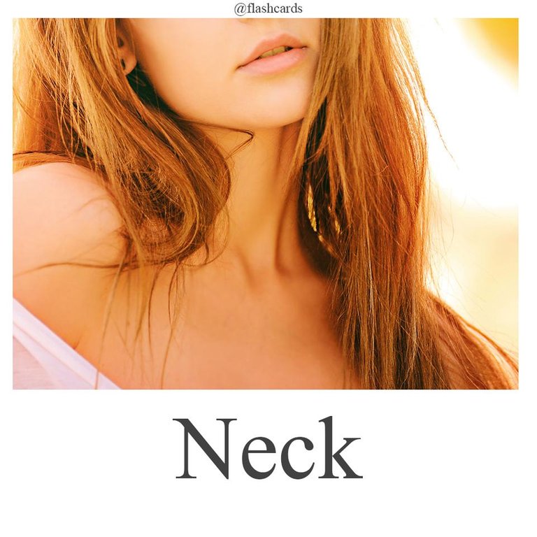 Neck.jpg