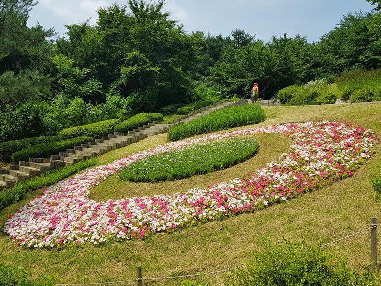 20180616_135739.jpg