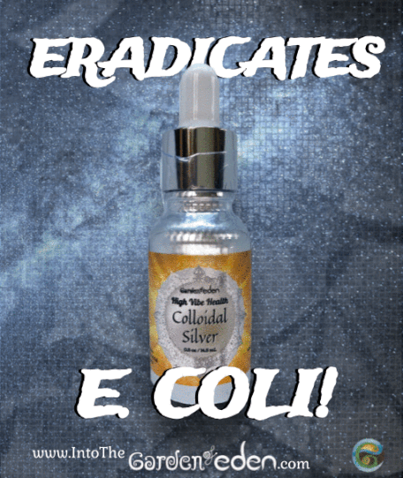 Colloidal Silver Garden of Eden E coli.gif