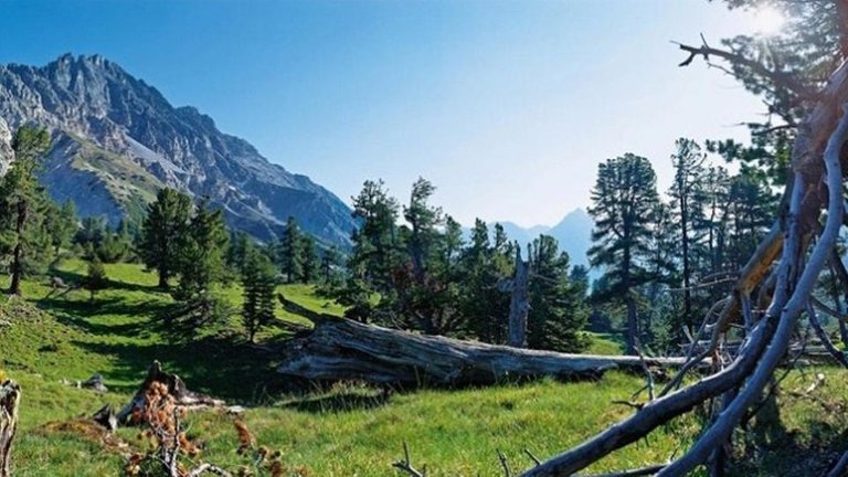 Swiss National Park, Zernez.jpg