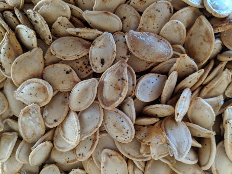 IMG_20181107_075015-roasted-seeds.jpg