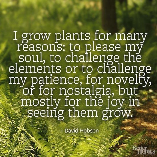 garden-quotes-013.jpg