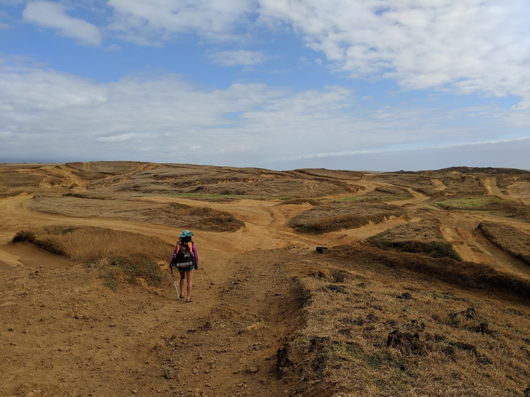 green sand beach ruts.png